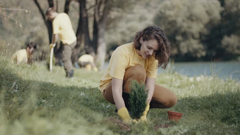 Best Lawn Disease Treatment  in Red Springs, NC