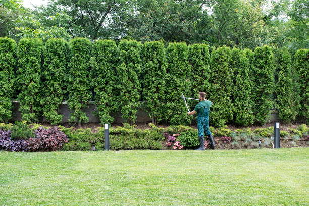 Best Weed Control  in Red Springs, NC